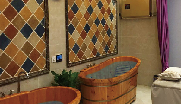 ECO ozone spa sanitizer 